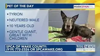 Pet of the Day for Jan. 30, 2026