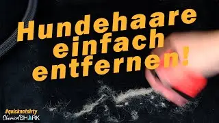 3 Min. Autopflege Tipps: Hundehaare einfach entfernen | Lilly Brush Mini | #quicknotdirty