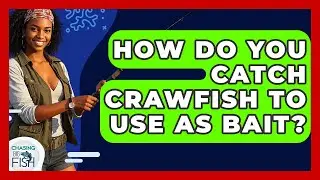 How Do You Catch Crawfish To Use As Bait? - Chasing Big Fish