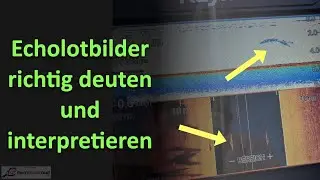 Echolotbilder interpretieren und richtig deuten