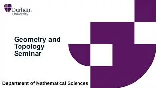 Durham Geometry and Topology Seminar - 2021/5/13 - Federica Fanoni