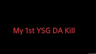 Zenless Zone Zero YSG DA RUN We Happy