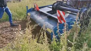 Imants 38sx300H engrais verts + chénopodes