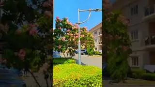 2 bedroom apartments with BQ inside Oniru - Vi for Rent.Rent: #6MServic