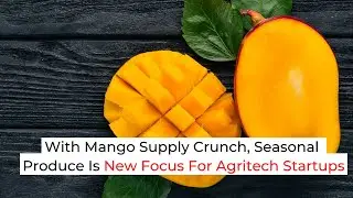 Inc42 Shots | With Mango Supply Crunch, Seasonal Produce Is New Focus For Agritech Startups