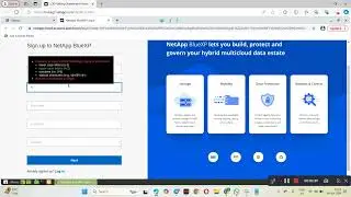 Azure Netapp Files for Blue XP
