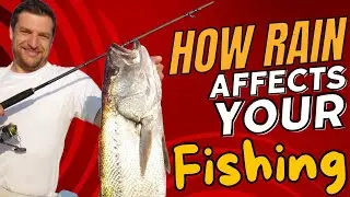 How Rain Affects Your Fishing 🎣🌧️