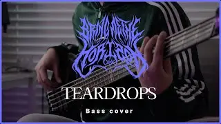 BMTH - TEARDROPS / Bass cover by KayD