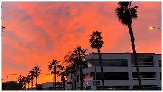 California Sunset #video  #shorts #sunset #california