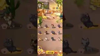 Top Game Clipclaps Coin Cat!