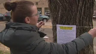 West Lakeview residents fight to save trees