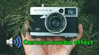 Camera sound effect