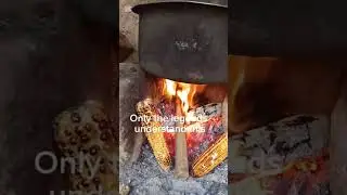 roasting maize #food #maize #funny #commedy #farmlife #farmer