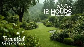 Rain Music Sleep 🌧️ Rain Sounds for Sleeping & Meditation | Relaxing Rain Ambience (No Ads)