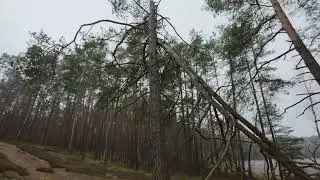 Nowe rezerwaty w Męcikale -   Rozkminki starego grzyba