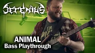 SERENIUS - Animal (Bass Playthrough)