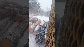 Winter logging Franklin pull skidder Stop and drop' ❄️ #shorts #skidder #tree #lumberjack #chainsaw