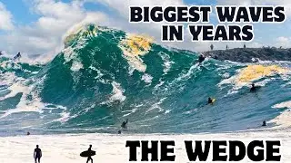 The Wedge | Best and Biggest Waves In Years | Compilation