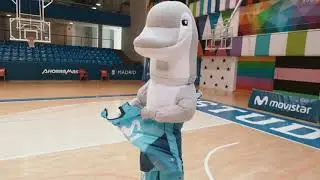 &iexcl;Vota al Delf&iacute;n Ramiro en el Concurso de Baile de Mascotas Endesa 2020!