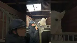 Love story : Mathilde and her pony Sligo #cheval #equitation #poney