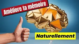 Améliorer sa Mémoire Naturellement : Les Preuves Scientifiques qui Changent Tout