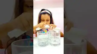 Durlobh&rsquo;s science experiment | Capillary Action