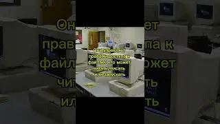 chmod &mdash; команда, которая дала власть над файлами #itfacts #developer #windows #coding #bitcoin