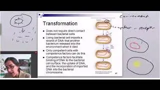 Genetic Transfer