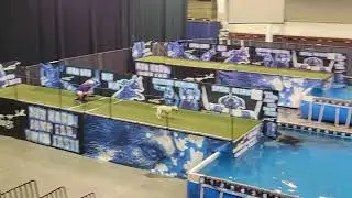 Drift - 2022 DockDogs World Championship