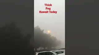 Thick Fog in Kuwait Today