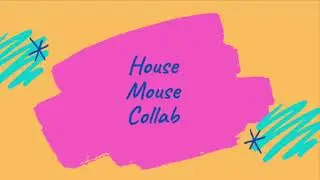 House mouse collab