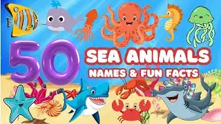 50 Amazing Sea Animals for Kids | Names & Fun Facts!