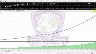 EA NinjaForex PriceAction | Best EA Price Action 2019