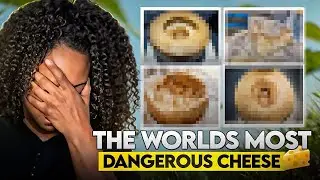 What is Casu Marzu? One of the world’s craziest foods! (Interesting Facts!)