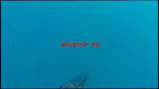 Minekop avı spearfishing umbrina cirrosa
