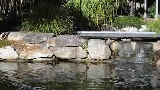 Nature Sounds - 3D Audio Soundscape