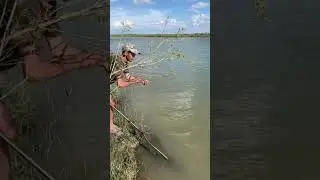 Рыбалка река Или. #рыбалка #fishing #сазан