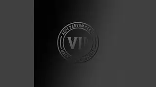 VII Continuous Mix 2