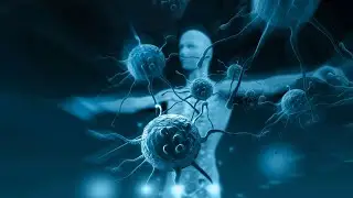 Introduction To Cell Biology For Children