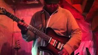Carvin tl60 guitar