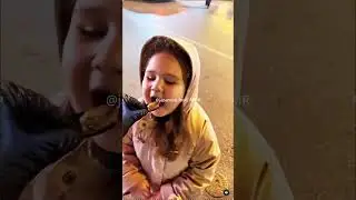 Midye dolma -stuffed mussels(turkish) #midyeciyasin #midye #reel #mussels #keşfet - Girl Eating muss