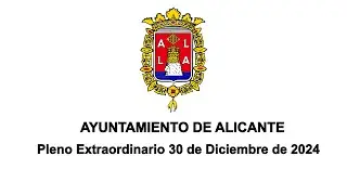 Pleno Extraordinario - 30 de diciembre de 2024