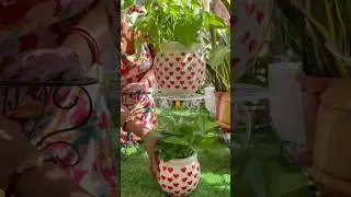 Must have Ceramic planters for your indoor plants  💓 comment for link 🔗 #trendingshorts #gardening