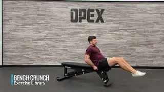 Bench Crunch