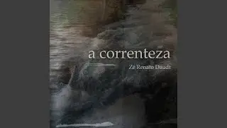 Tordilha Canha Branca