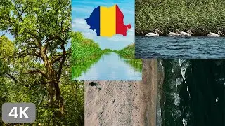 THE DANUBE DELTA | BOAT TRIP | CARAORMAN | SF&Acirc;NTU GHEORGHE
