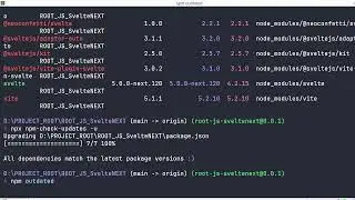 NPM show/list  outdated packages and update them