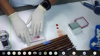 Blood and Tissue Parasite (Practical blood smear)