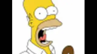 Funny Homer Quotes!!!