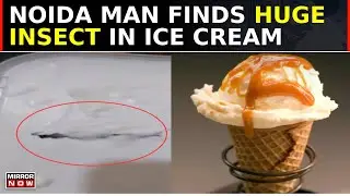 Centipede Found In Ice Cream Tub In Noida After The Shocking Human Finger Incident | Top News